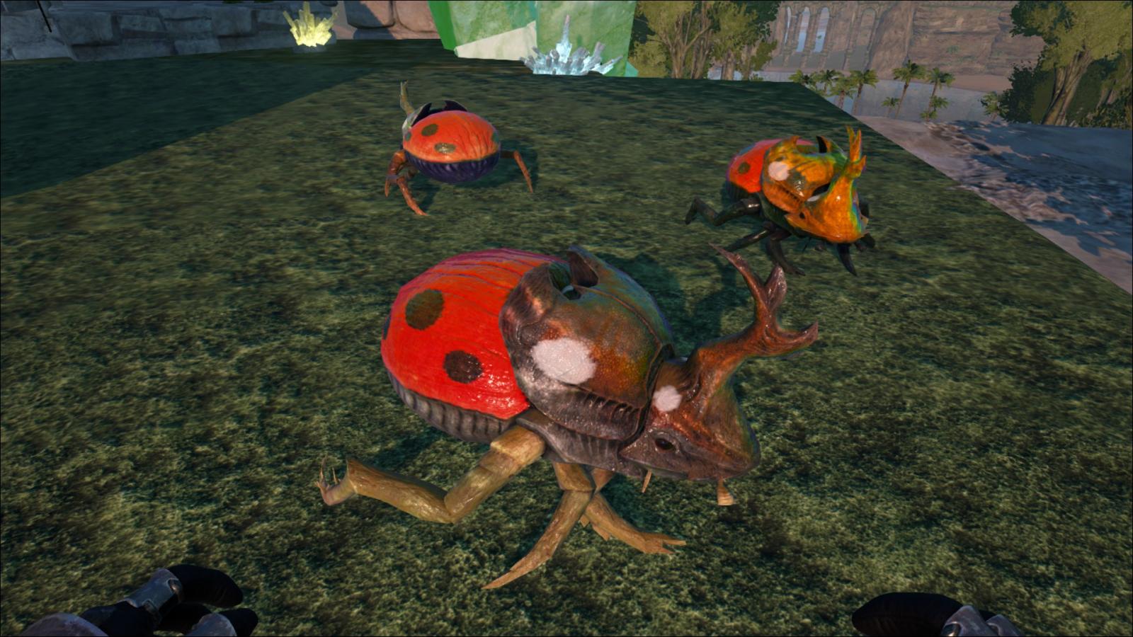 Ladybug Dungbeetle by Sharkcat