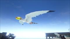 seagull dimorphodon