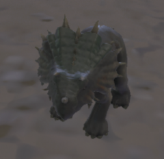 My first hatchling