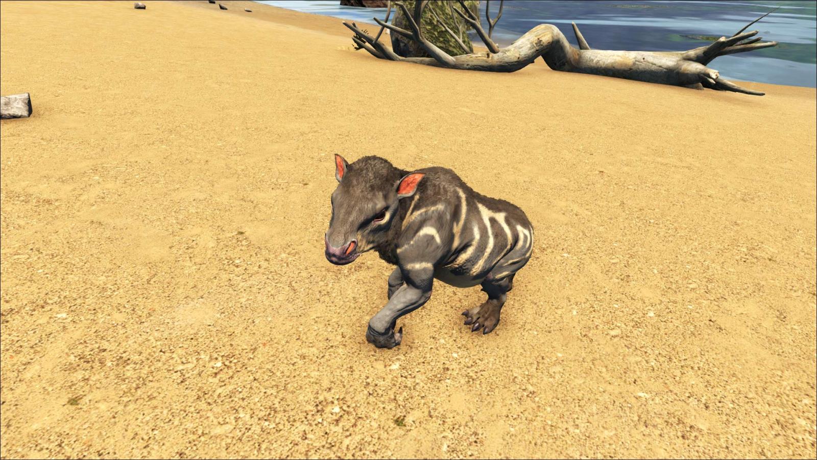 The Babies of ARK