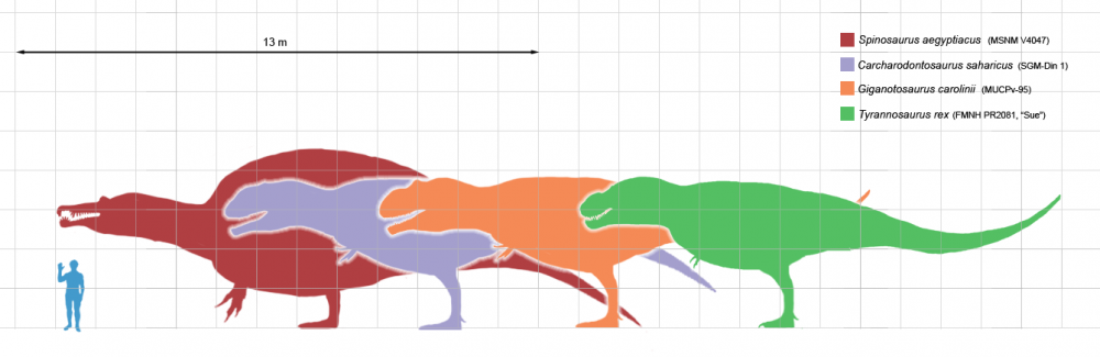 Largesttheropods.png
