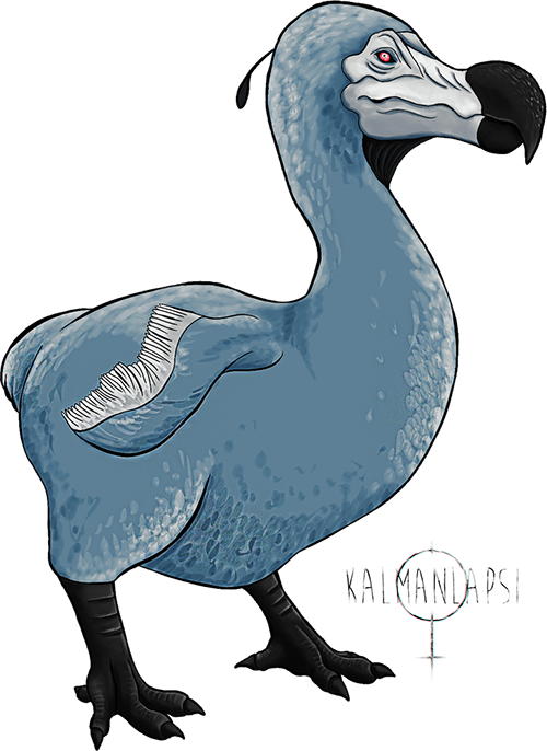 large_dodo.png.cc98df62213f86e9a249169690b7359c.png
