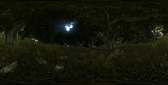 FataL1ty - Dark Forest - Panoramic 360 Stereoscopic 3D sta.jpg