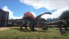 Black and red spino