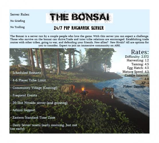 Bonsai Ad.jpg