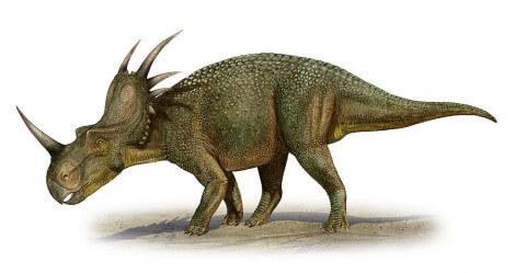 6F8sGJtBkV-Styracosaurus,dinosaurs,Cretaceous,plant-eater-061.jpg
