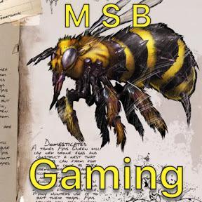 MSB Gaming.jpg