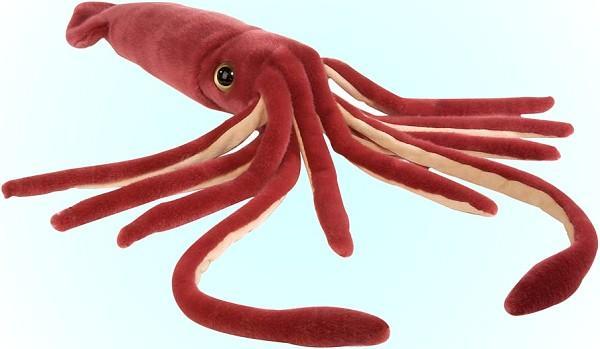 tusoteuthis.jpg