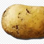 Potato Clan ?