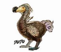 alpha dodo