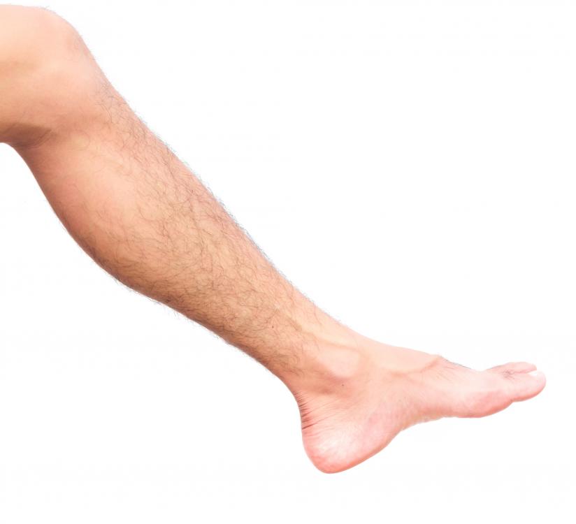 Hairy-Male-Leg.jpg