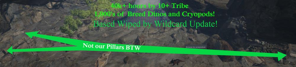 Base Wiped by Wildcard Update!.jpg