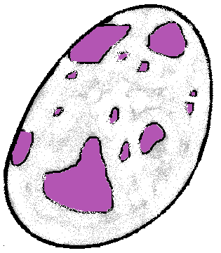 Gorgosaurus Egg