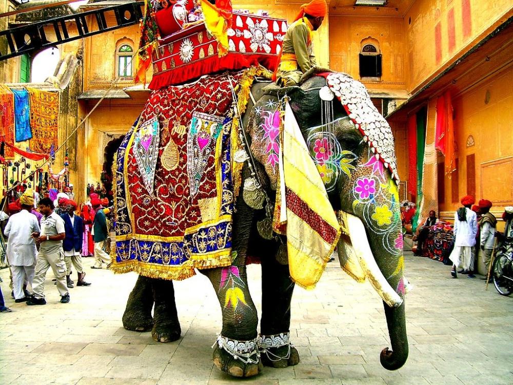 1024px-decorated_indian_elephant.jpg