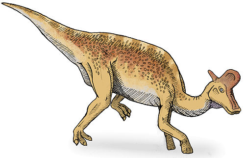 500px-Lambeosaurus2-v2.jpg.720155bbde00798243240b3f078824be.jpg