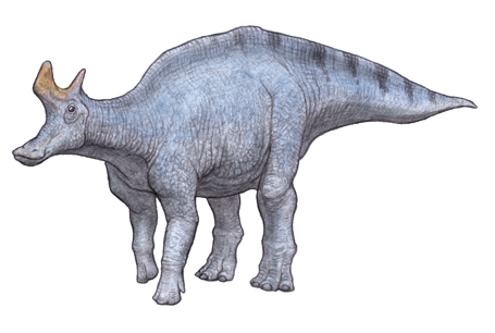 ranbeosaurusu.jpg.3d7131fa3797b8d74d67b24543526685.jpg