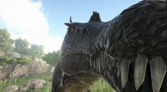 Spino face.