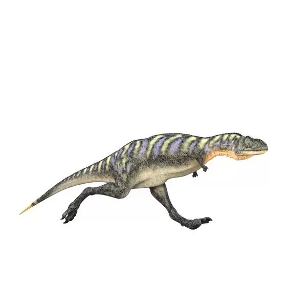 depositphotos_458349986-stock-photo-aucasaurus-running-medium-sized-theropod.jpg