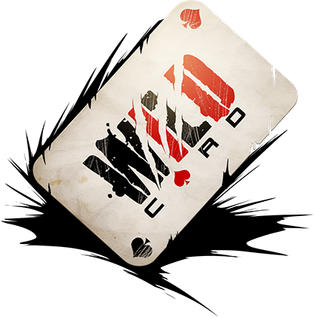 Studio_Wildcard_logo.png