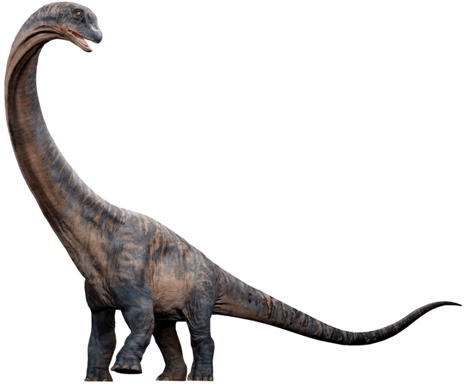 Dreadnoughtus.thumb.png.2aa1646ed7f92c734eea51cbfa364644.png