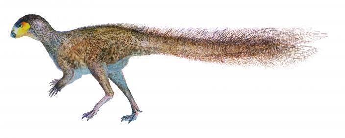 Leaellynasaura-dinosaur.jpg.2f621fa92d28f1cd63c84ee706ea5ce6.jpg