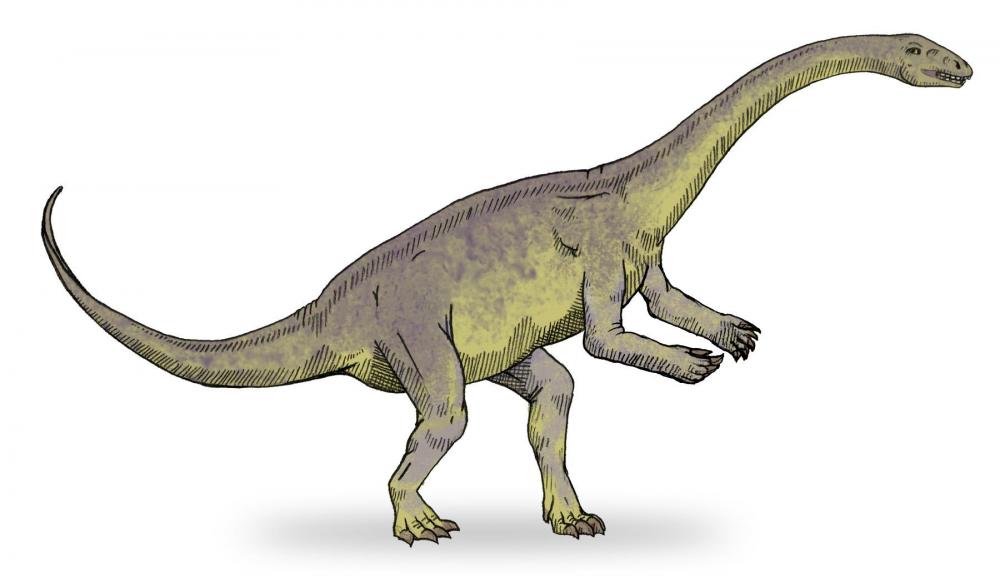 Lufengosaurus_sketch2.thumb.jpg.a337fbca087baa29dea5bc21c44d228b.jpg