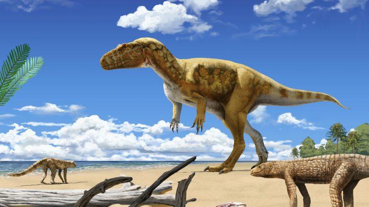 Meet-the-oldest-large-predator-dinosaur-ever-found-730x410.jpg.6aa41189b07cd82771d4a546090200a9.jpg