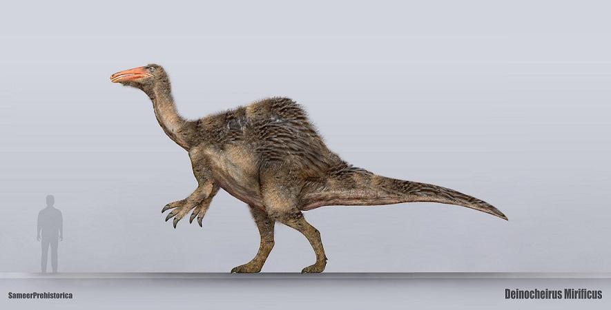 deinocheirus_size_by_sameerprehistorica_d8k9197-fullview.jpg