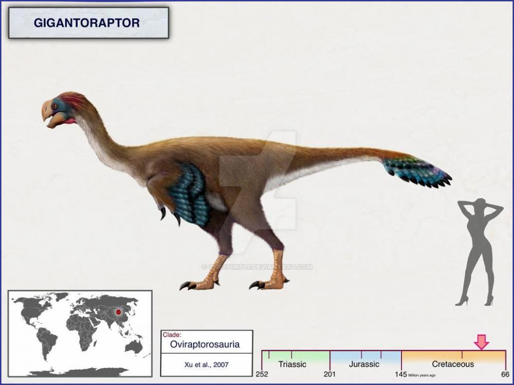 gigantoraptor_by_cisiopurple_dc17ybh-pre.thumb.jpg.4bd243f019c41b4df32e48fdb34f1a8c.jpg