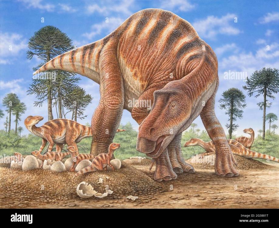 maiasaura-caring-for-its-young-in-their-nest-2G3881T.thumb.jpg.7668e220be49a614a05e96f50e404fd2.jpg