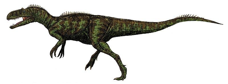 Chilantaisaurus.jpg.e5a4bb17ce481cbcc4366b7f0374f6a3.jpg
