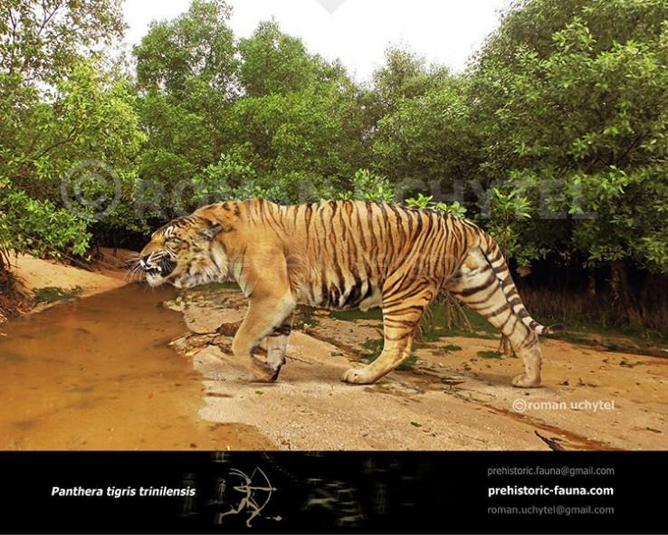 Panthera-tigris-trinilensis1-738x591.jpg.b43a0292a95ff0789d6af4d2f0ccbaf9.jpg