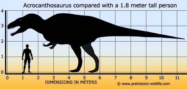 acrocanthosaurus-size.jpg.a475dac1bc9fecafe456293a99b1b7d1.jpg