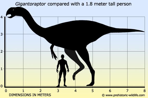 gigantoraptor-size.jpg