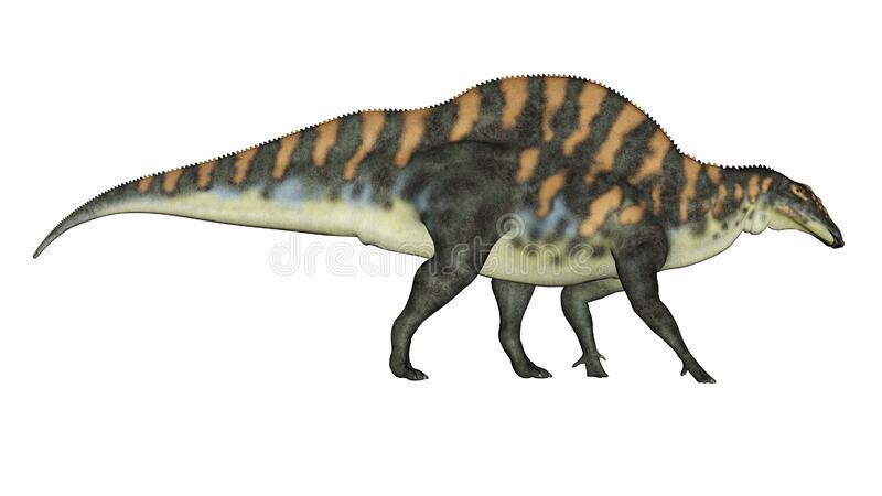 ouranosaurus-dinosaur-d-render-ouranosaurus-dinosaur-walking-isolated-white-background-d-render-205101475.jpg.53ad5eb60f69331a0d0e120d2b934493.jpg