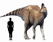 Corythosaurus size