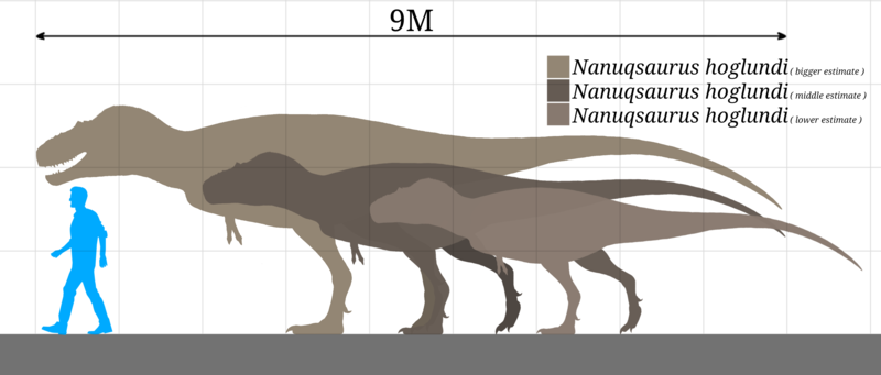Nanuqsaurus_hoglundi_size_chart.png.2462315cd91aeb2fad30c8d18cc88770.png