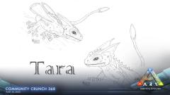 Tara Sketches