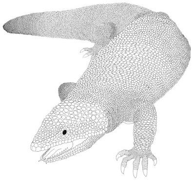 Morohasaurus_kamitakiensis-novataxa_2022-Ikeda_Ota_Tanaka_Ikuno_et-al.jpg.24f71635f8244267ac9cc4fbd89a43bd.jpg