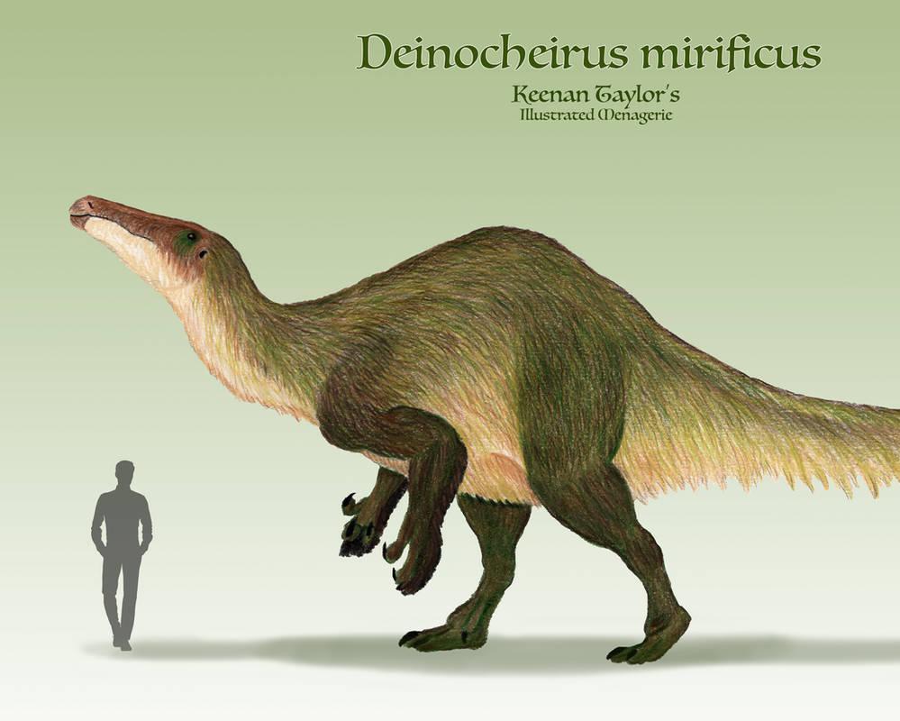 deinocheirus_mirificus_by_illustratedmenagerie_dd4xmcp-pre.jpg.f3a4a2c0289bea5fbee9fee73aa12262.jpg