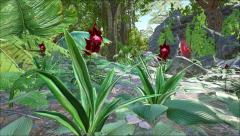 red orchids (Crystal Isles)