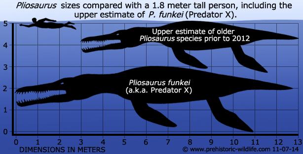 pliosaurus-size.jpg.2271da046ee4367f3543f5ab82e1f060.jpg