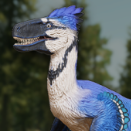 thebluejayraptor