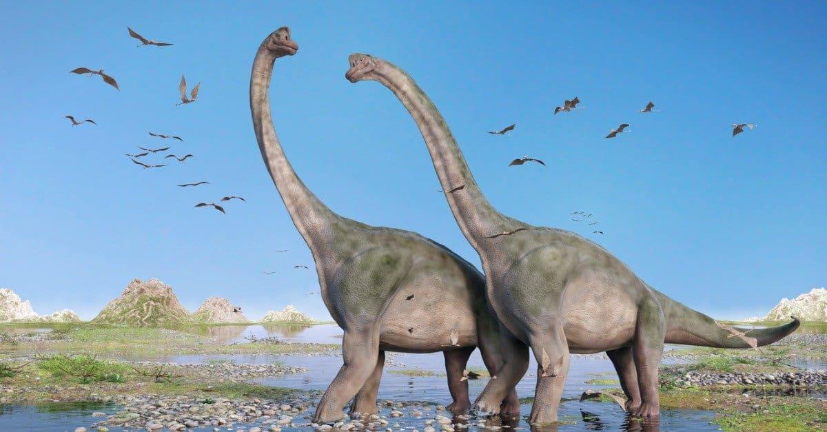 couple-of-brachiosaurus-altithorax-and-a-flock-of-pterosaurs-in-a-picture-id870596224.jpg.26acf8dd184f764c5caf2b3d23ca17c1.jpg