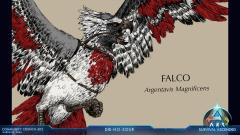 My Argentavis, Falco